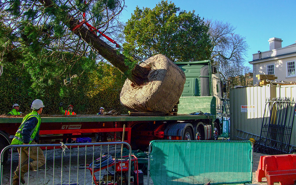 Landscape design at Hanover Lodge London