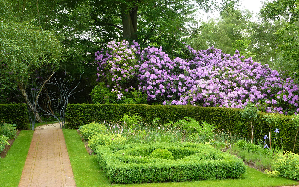 Landscape design at a private garden in Sunningdale