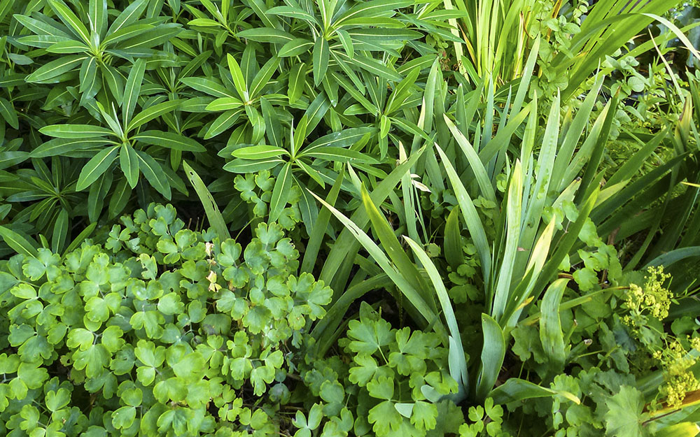 Garden design projects - landscape architects