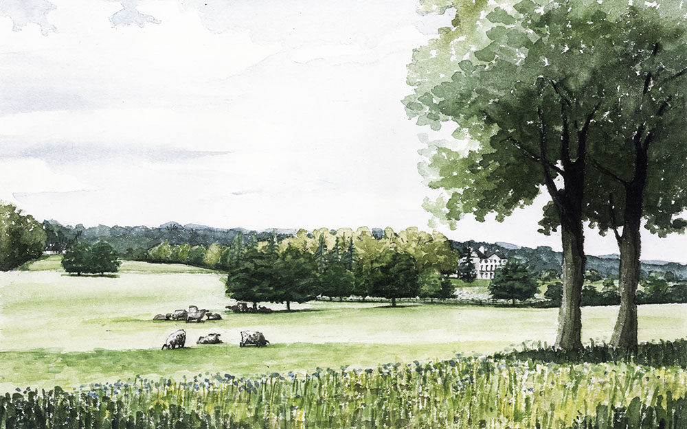 Landscape restoration - survey & plan, Kenwood Hampstead London