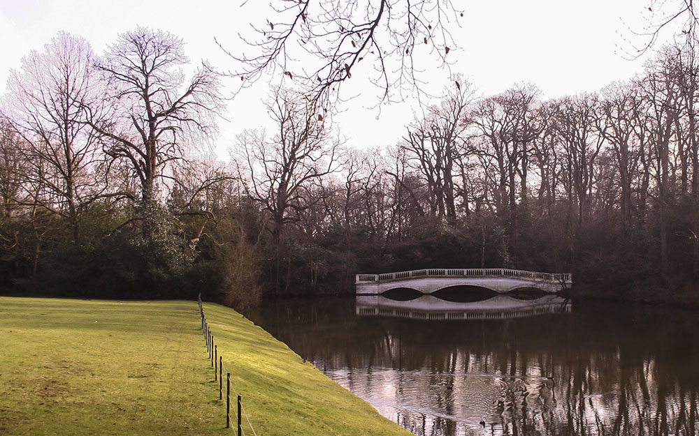 Landscape restoration - survey & plan, Kenwood Hampstead London