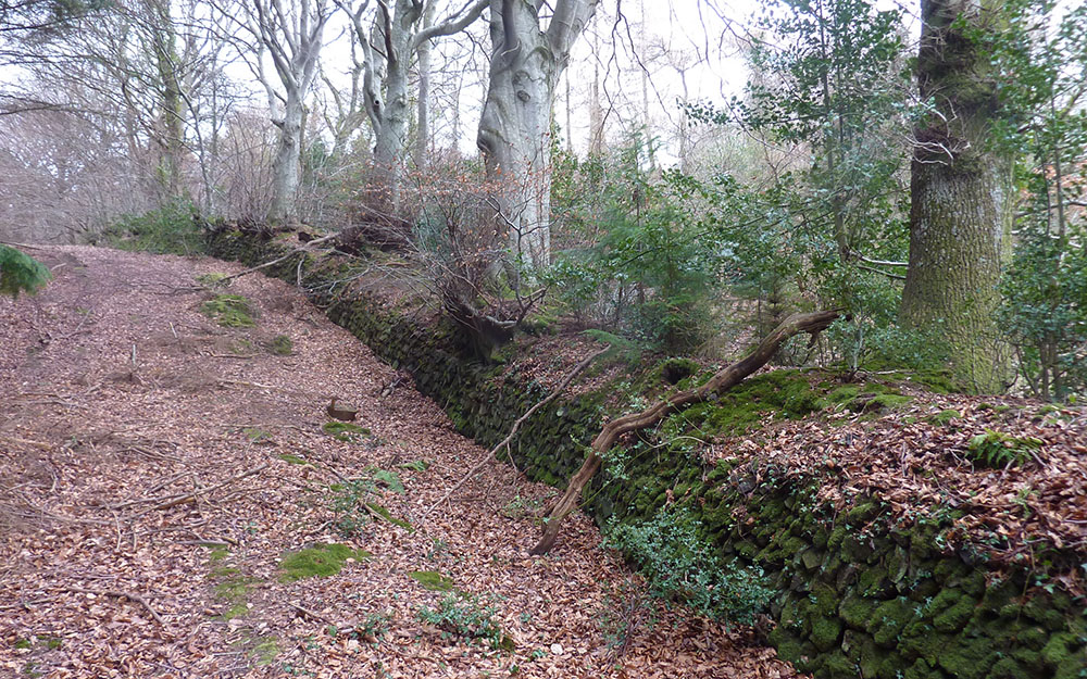 Landscape assessment of Dunster Deer Park, Somerset