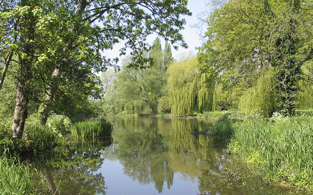 Conservastion plan for Denham Place Buckinghamshire